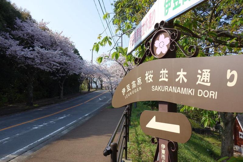 伊豆高原 温泉付別荘 Isana Mountain Villa Futo Екстер'єр фото