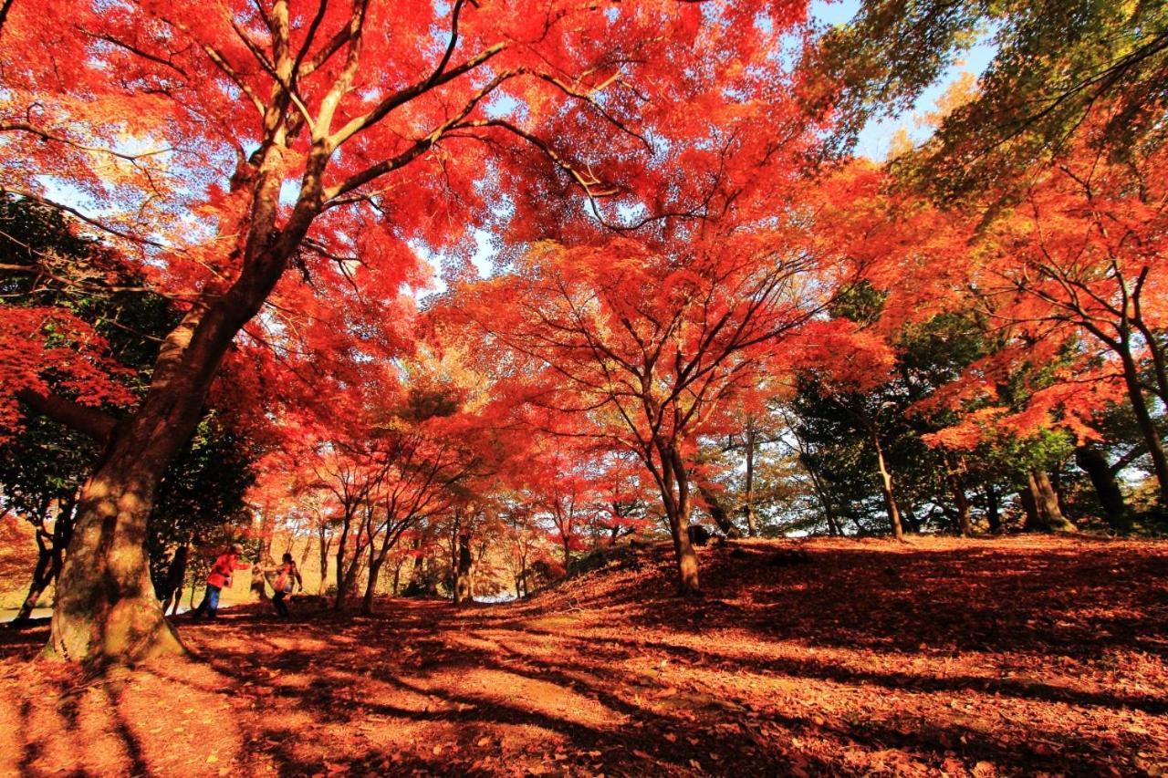 伊豆高原 温泉付別荘 Isana Mountain Villa Futo Екстер'єр фото
