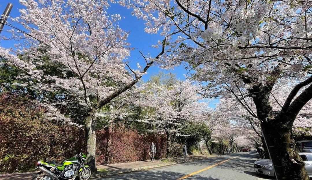 伊豆高原 温泉付別荘 Isana Mountain Villa Futo Екстер'єр фото