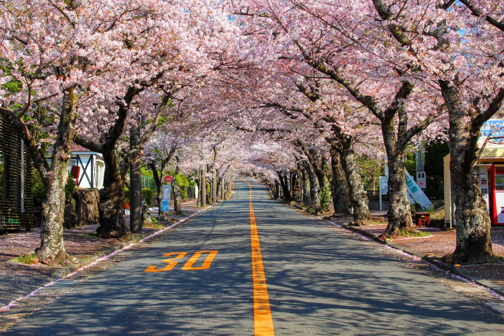 伊豆高原 温泉付別荘 Isana Mountain Villa Futo Екстер'єр фото